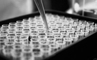 The growing threat of unregulated antibiotics in animal research